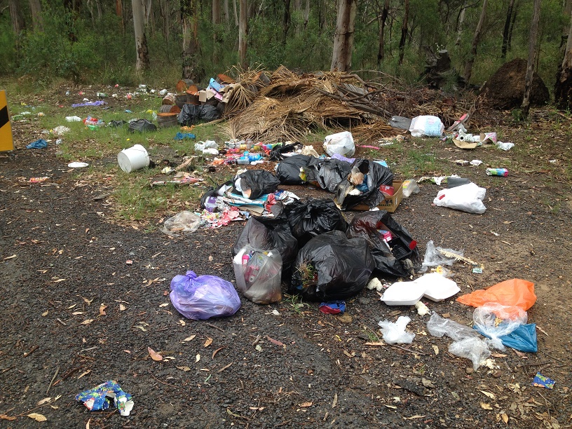 South West Voice Campbelltown ramps up fight against rubbish dumpers