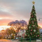 Camden Council - Christmas Tree