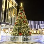 Camden Council - Christmas Tree Lights