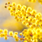 Screenshot 2018-08-09 16.43.28