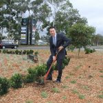 Mayor George Brticevic puts the finishing touches to the roundabout on the intersection of Gilchrist Drive and Therry Road.